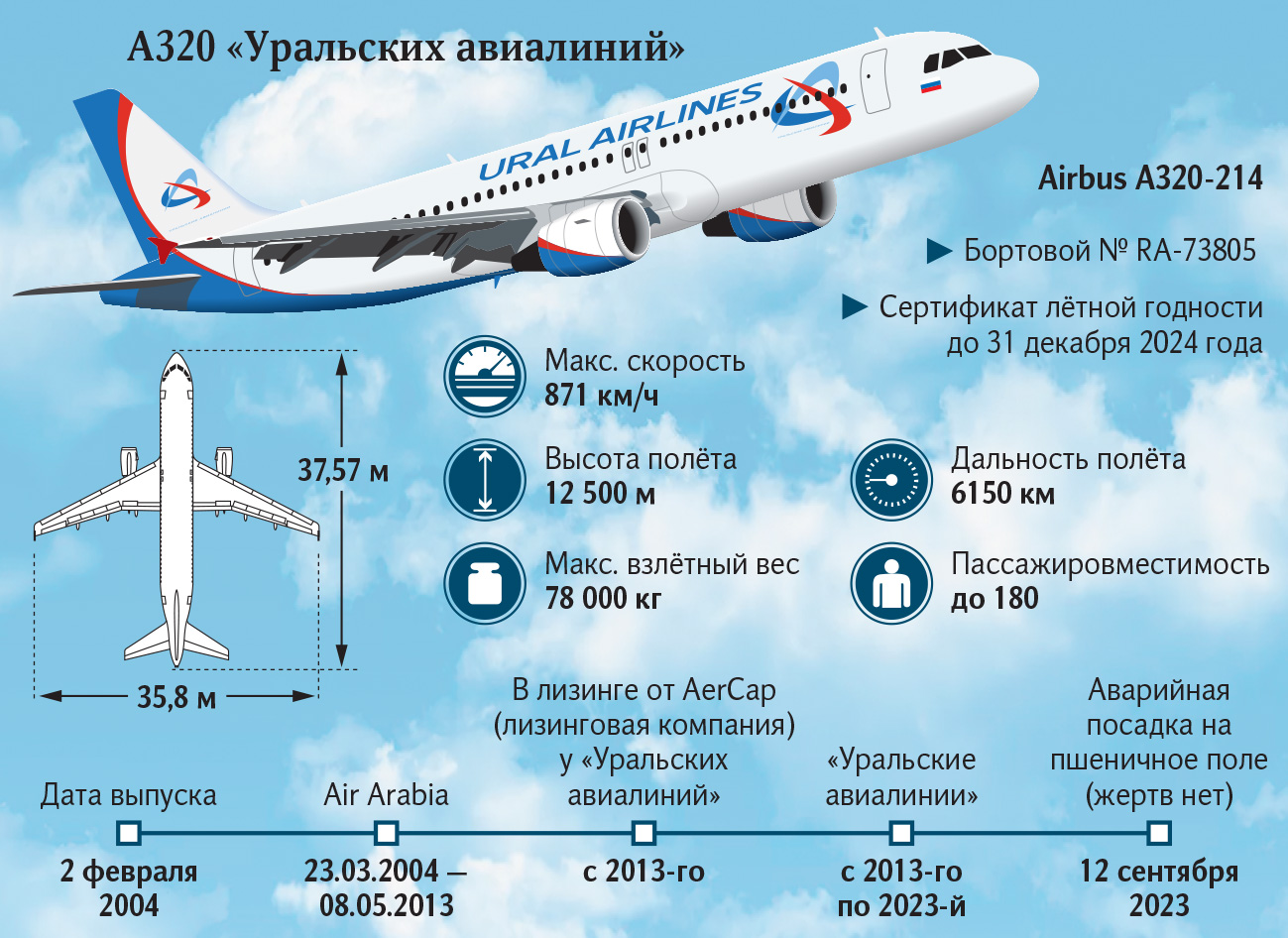 Аварийная посадка самолета в пшеничном поле, самолет 