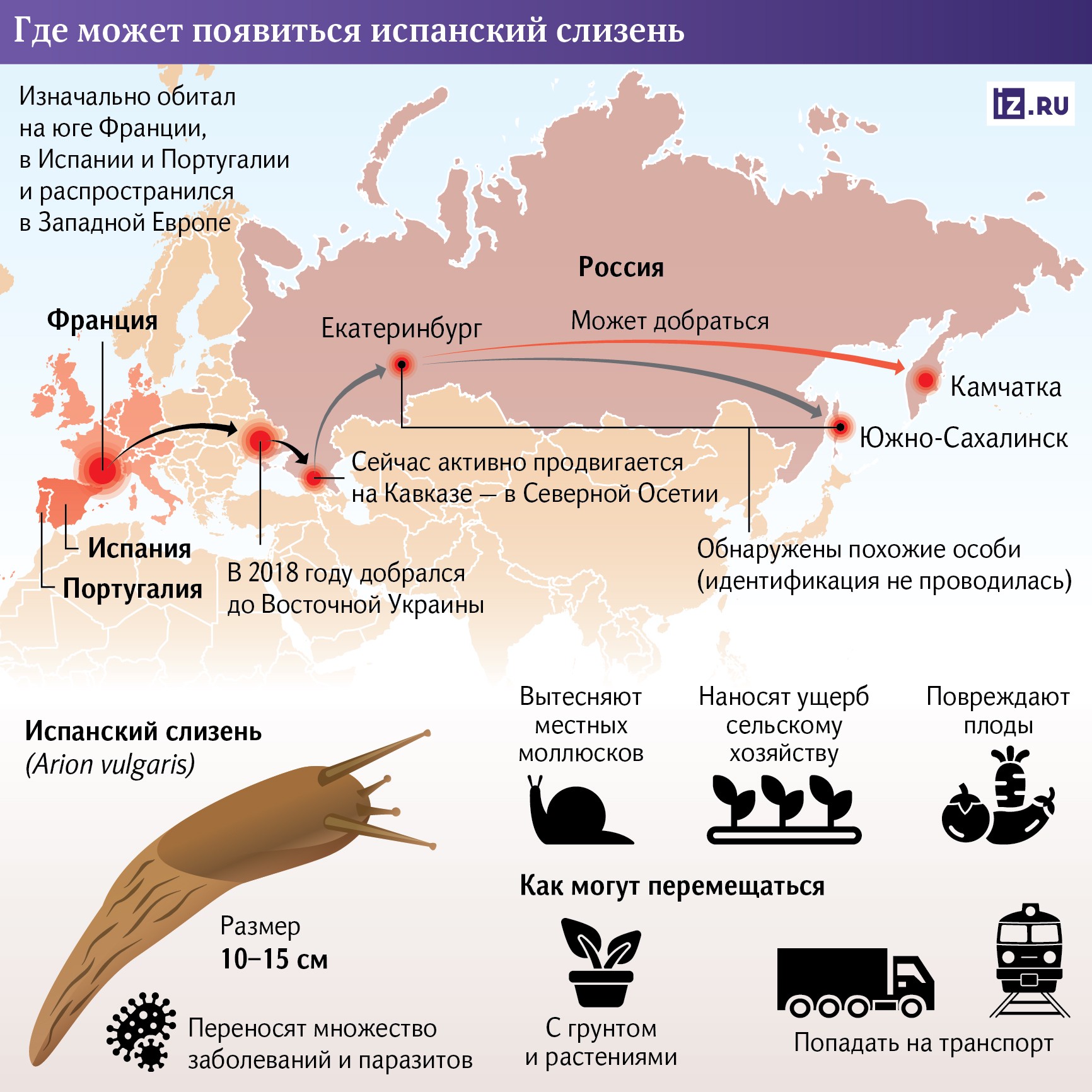 Инфографика