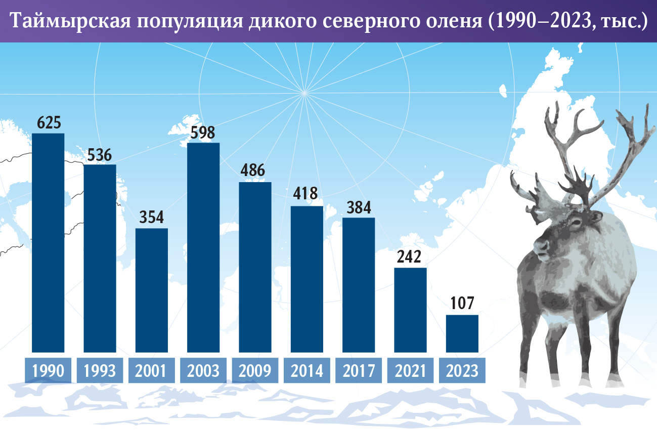 Крупнейшая в мире популяция диких оленей может исчезнуть