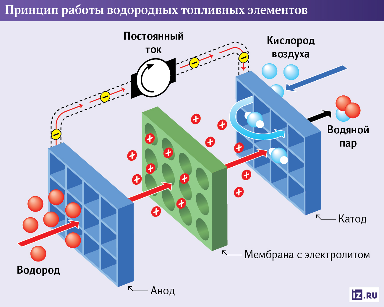 Инфографика