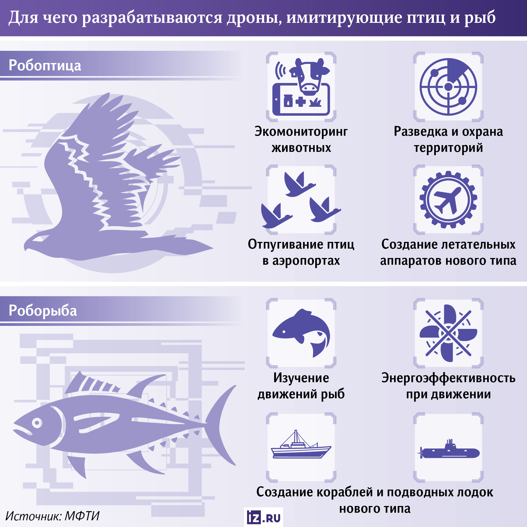 Инфографика