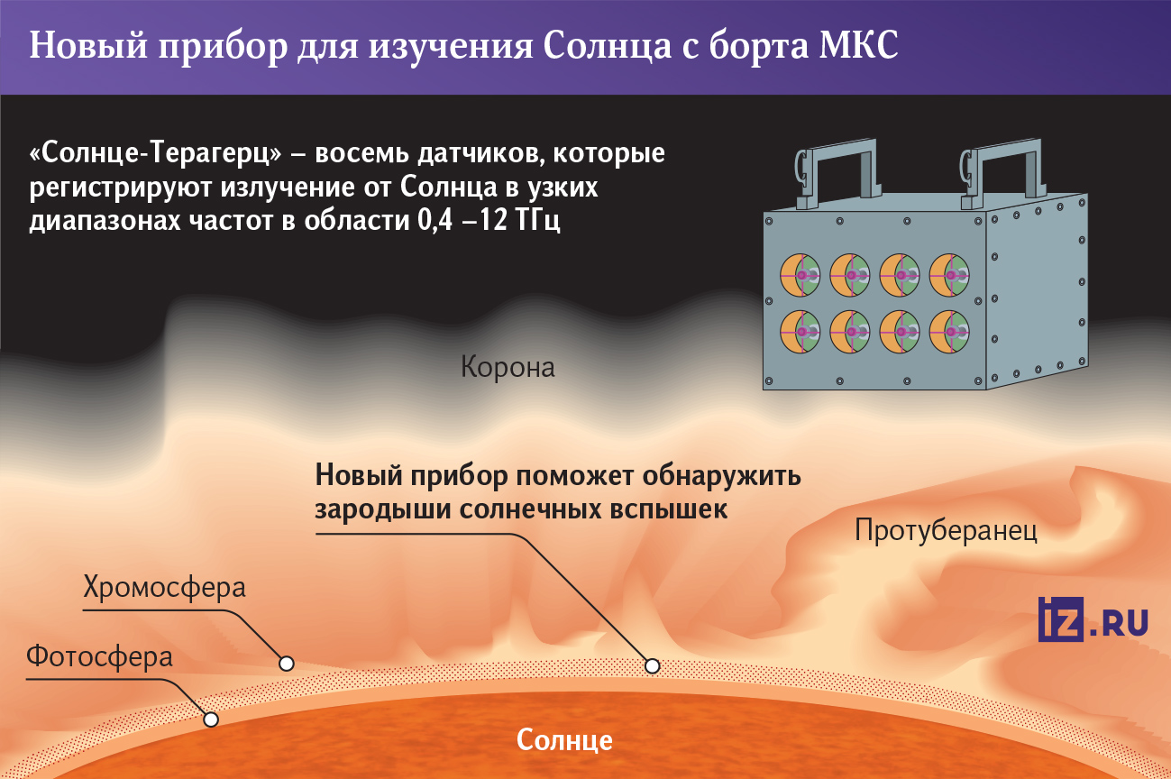 инфографика