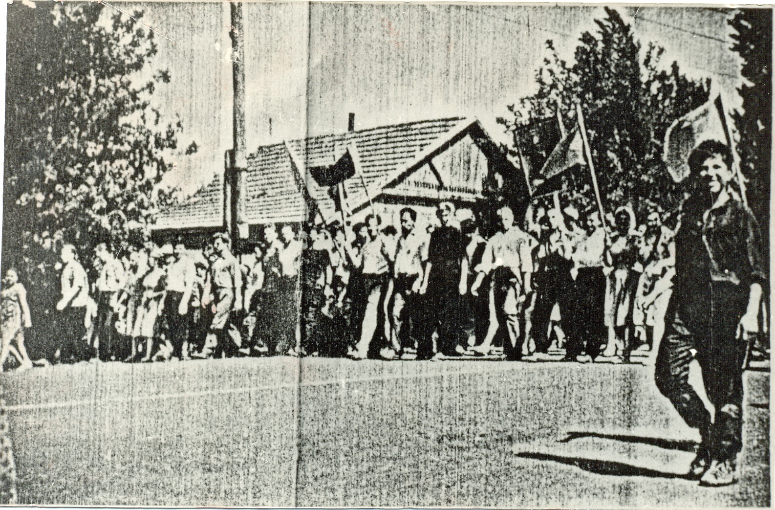 1962 год расстрел рабочих. Восстание в Новочеркасске в 1962. Расстрел демонстрантов в Новочеркасске в 1962. Бунт 1962 года в Новочеркасске. Расстрел в Новочеркасске 1962 год.