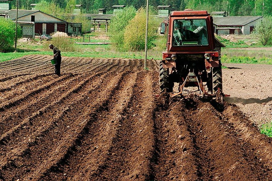 Посадка картошки
