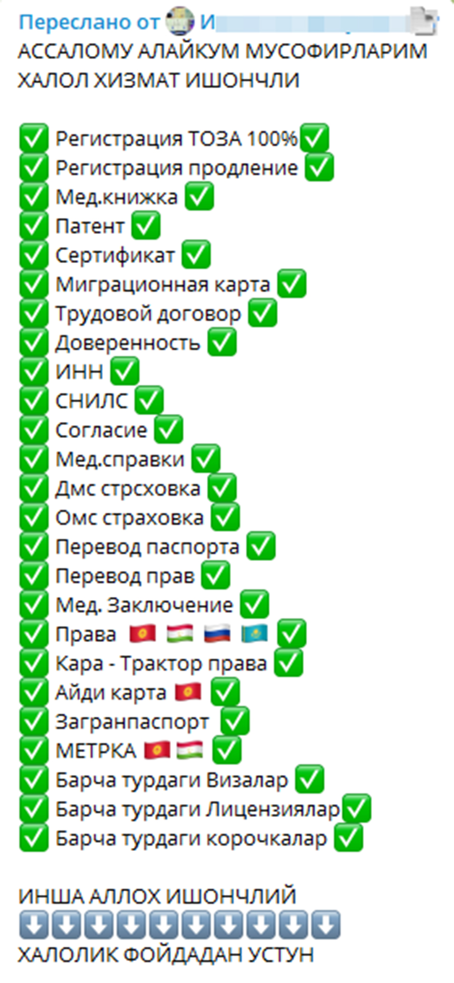 чат