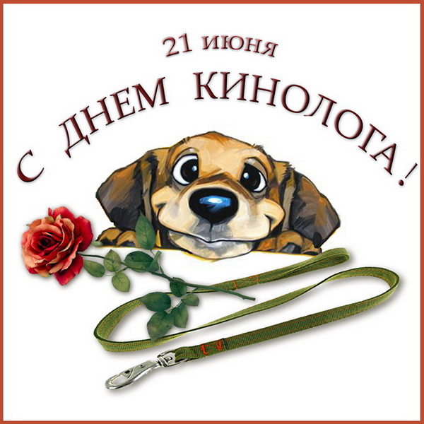 С Днем кинолога