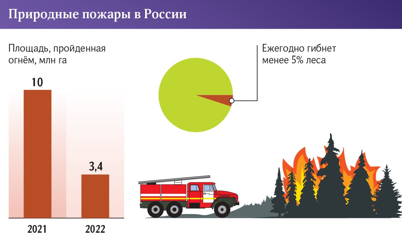 Лесные пожары