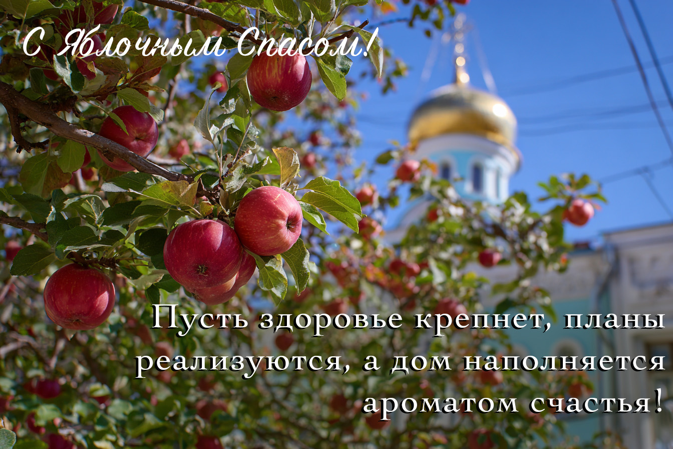 Изображение сгенерировано ИИ © «Известия»