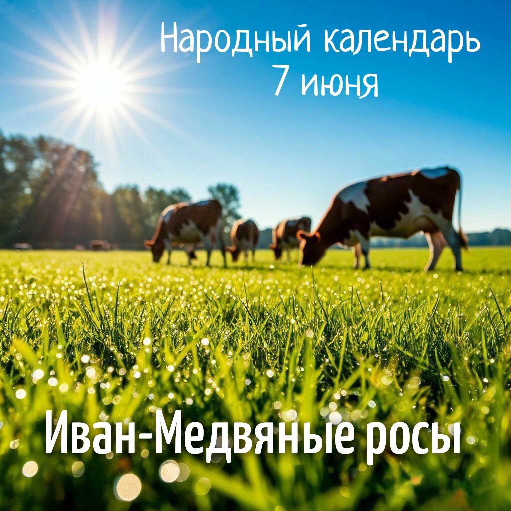 С Днем Ивана-Медвяные росы