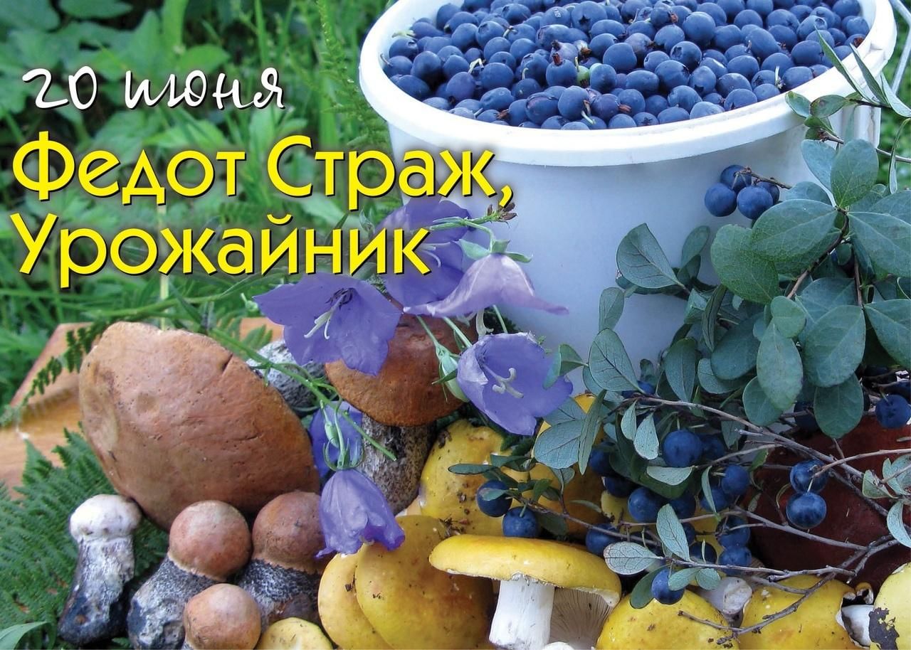 С Федотом Урожайником