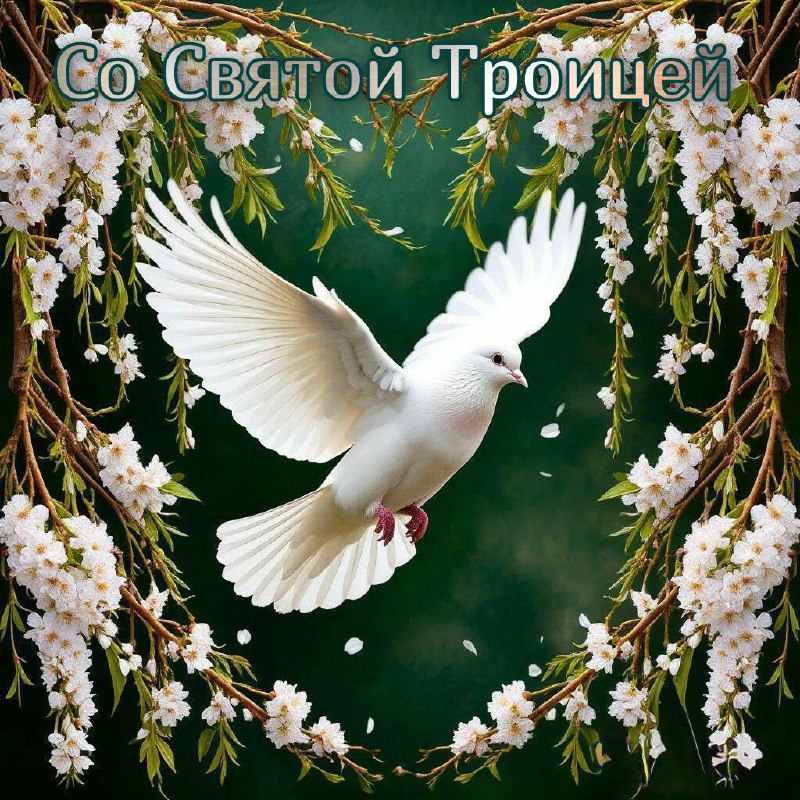 С Троицей