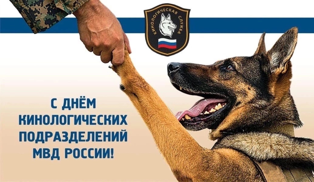 С Днем кинолога