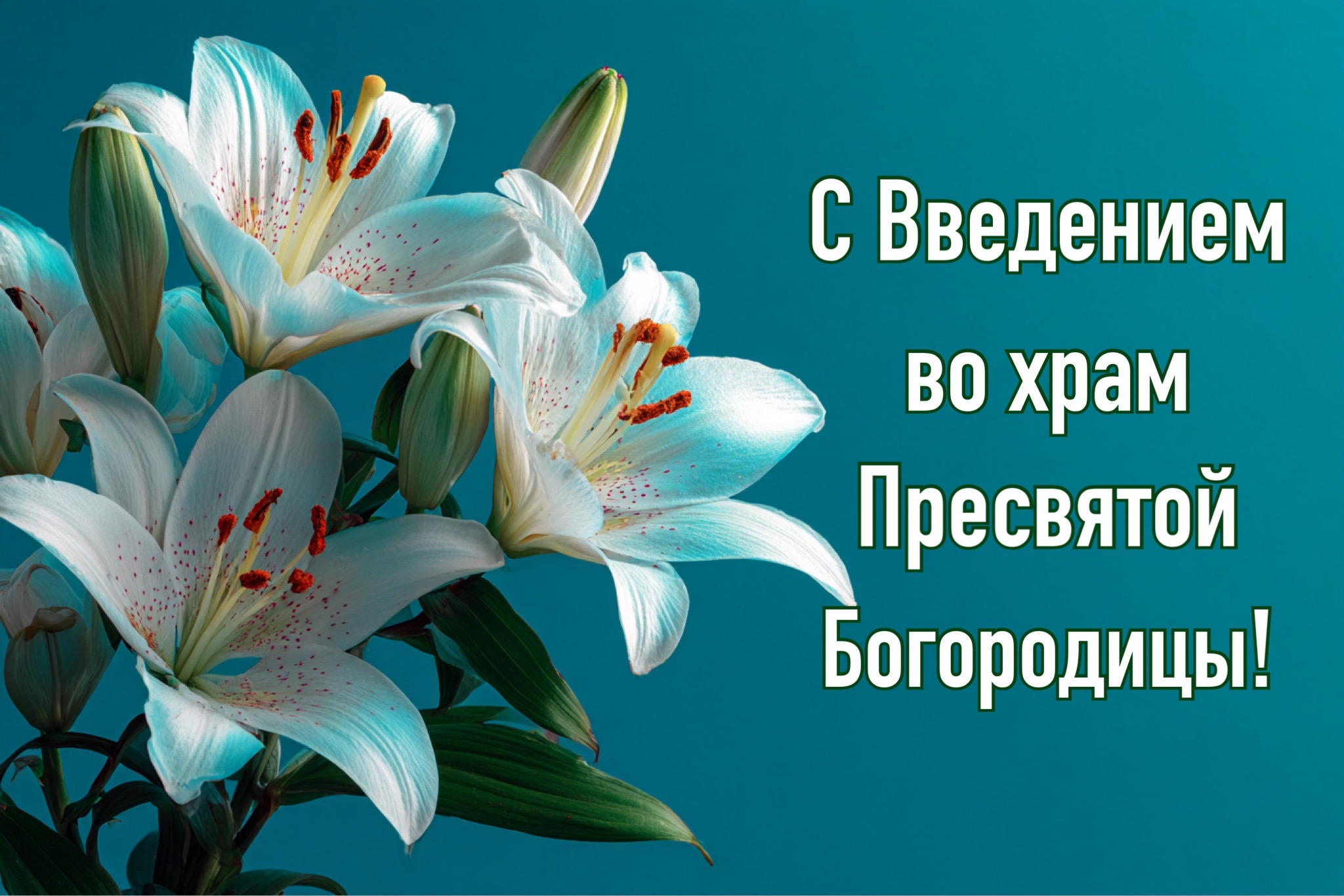 Открытка с Введением во храм Богородицы