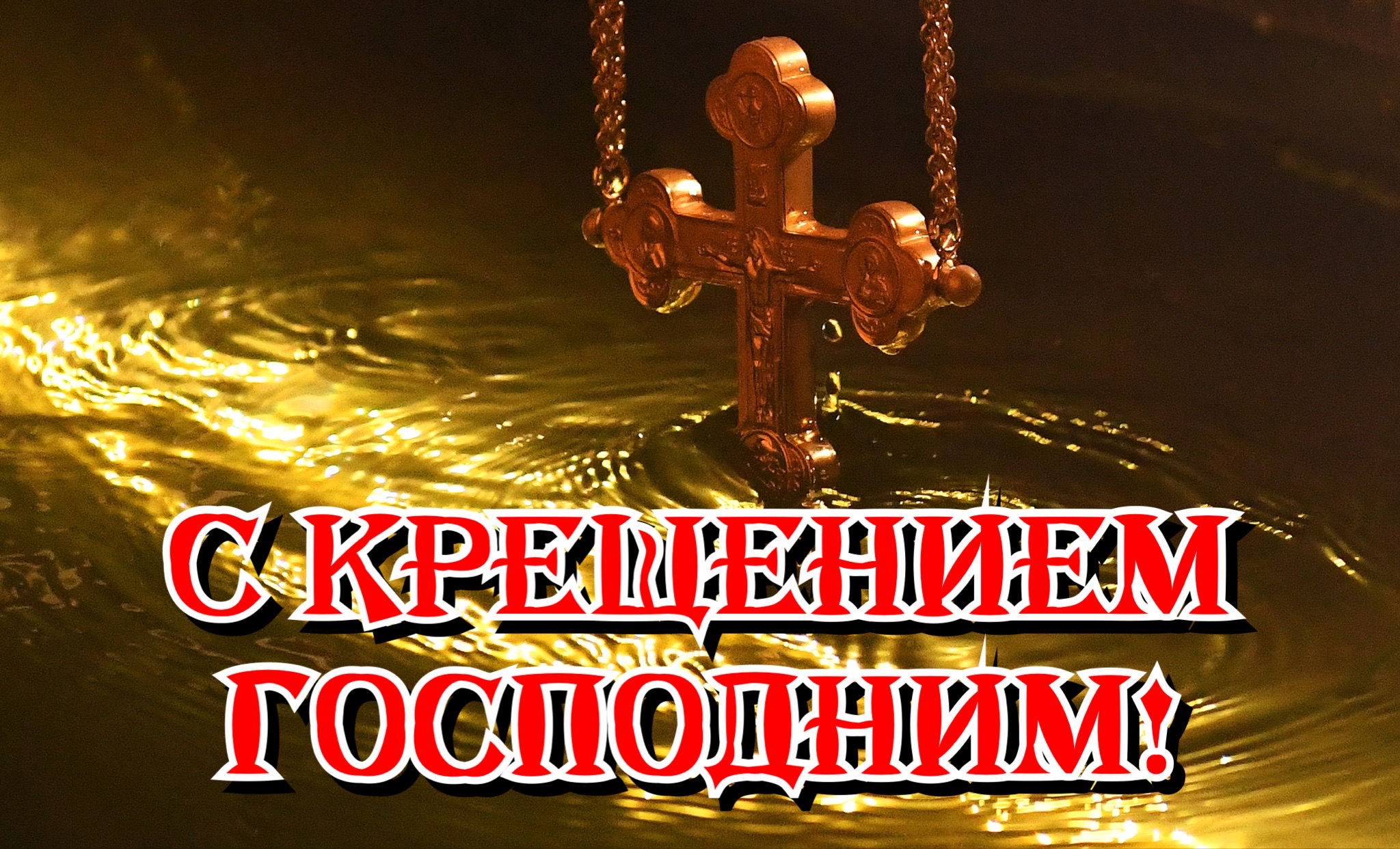 Фото: РИА Новости/Илья Наймушин
