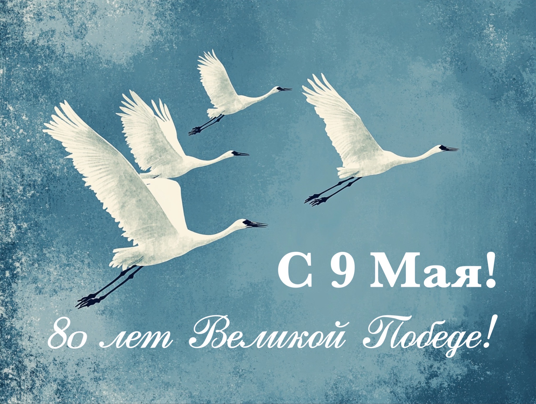 Открытка с 9 Мая