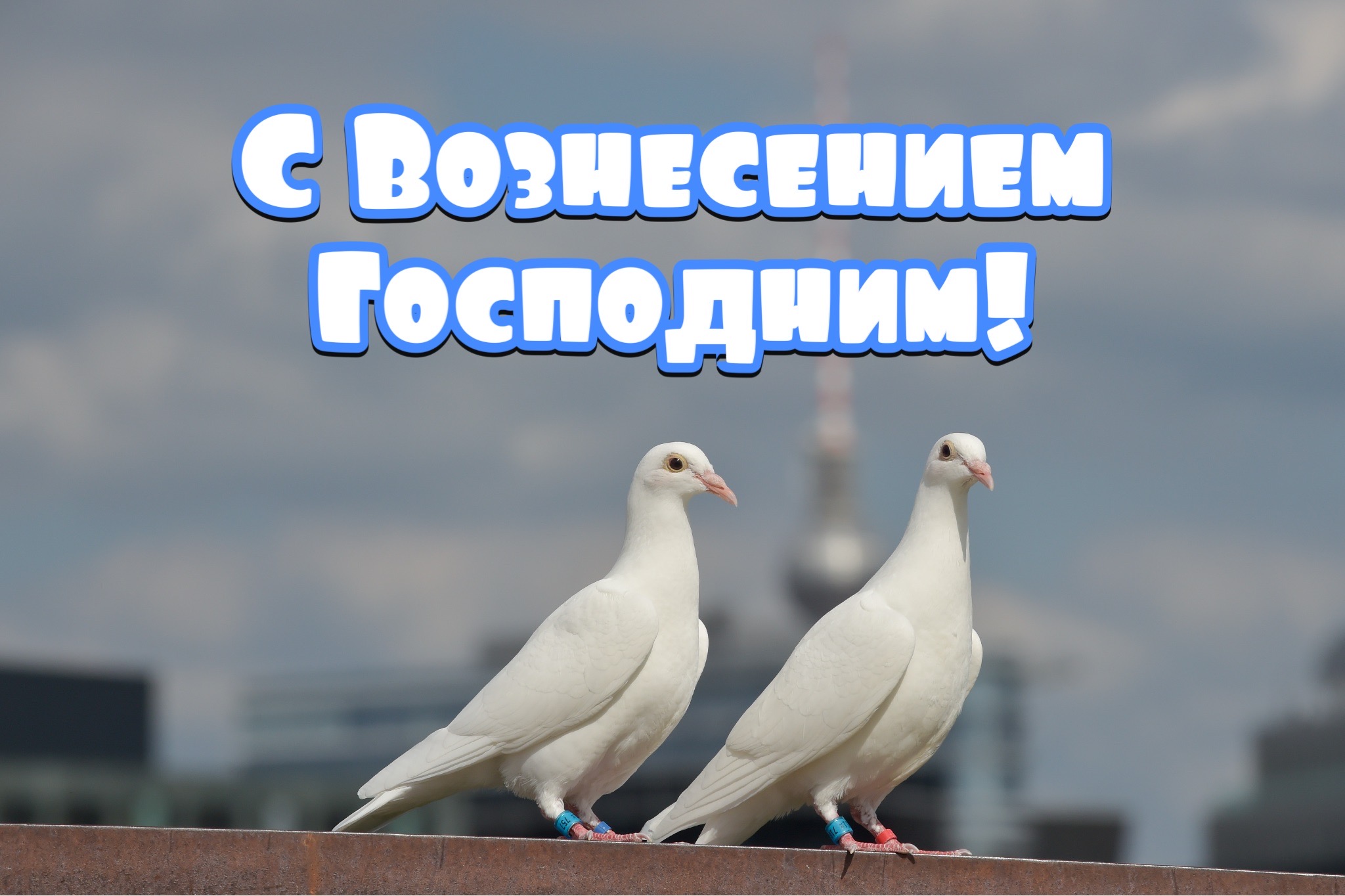 Открытка с Вознесением Господним