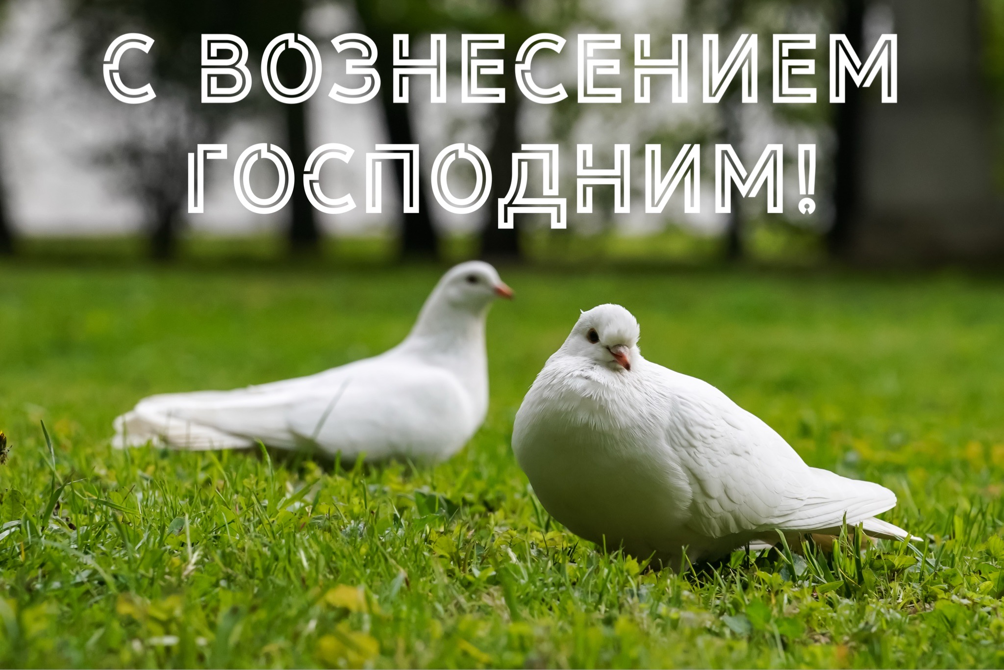 Открытка с Вознесением Господним