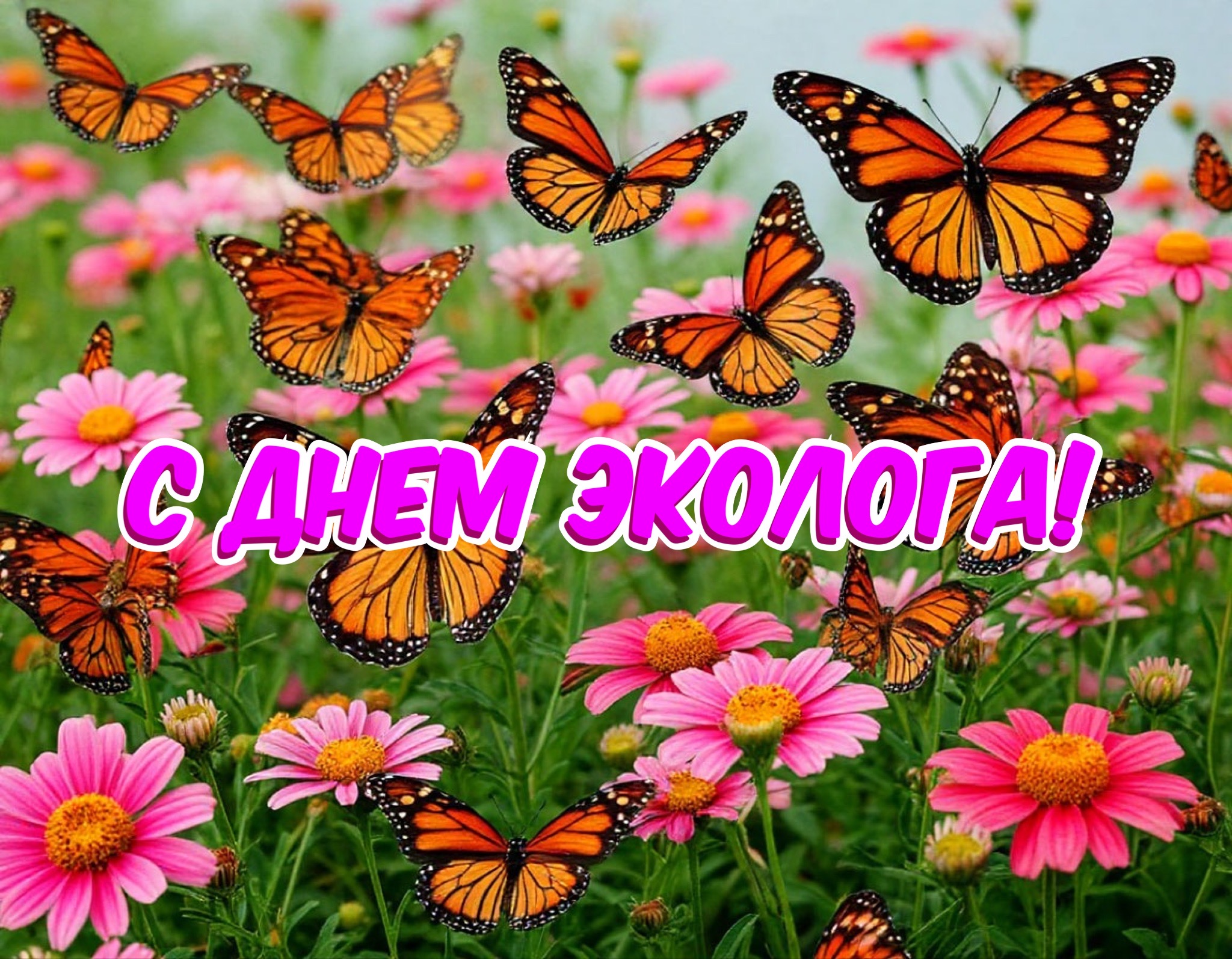 Открытка к Дню эколога в России 5 июня