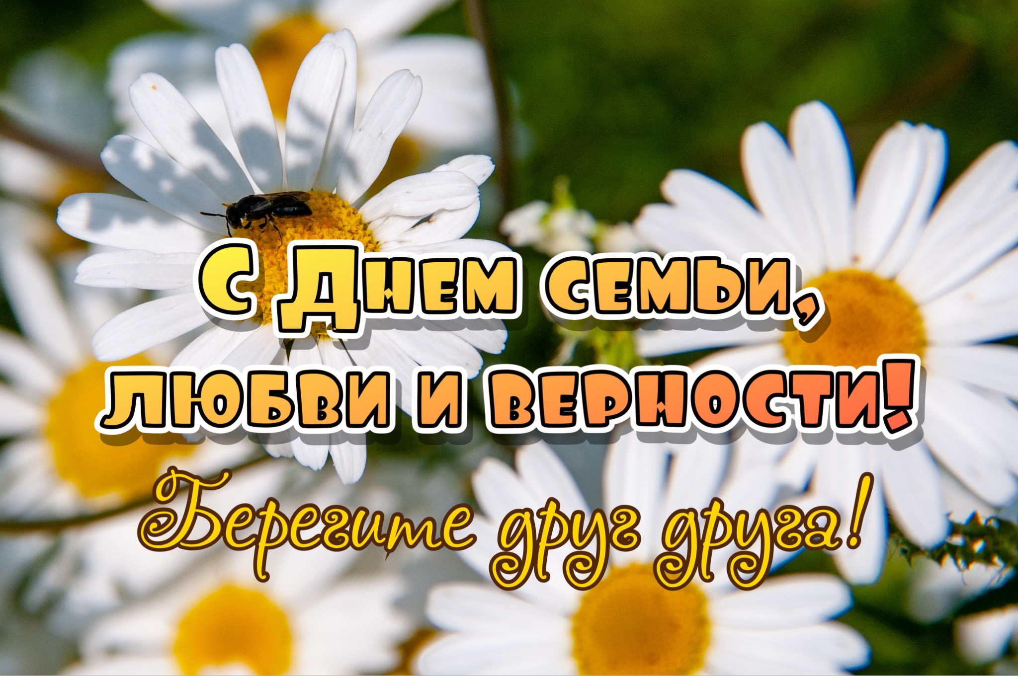 Открытка с Днем семьи, любви и верности