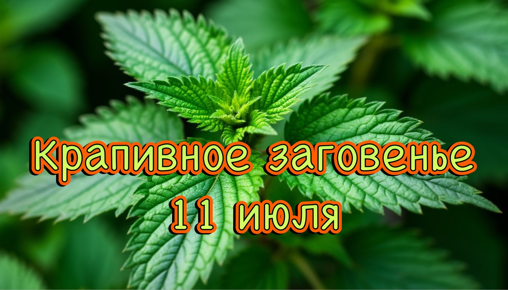 Открытка Крапивное заговенье