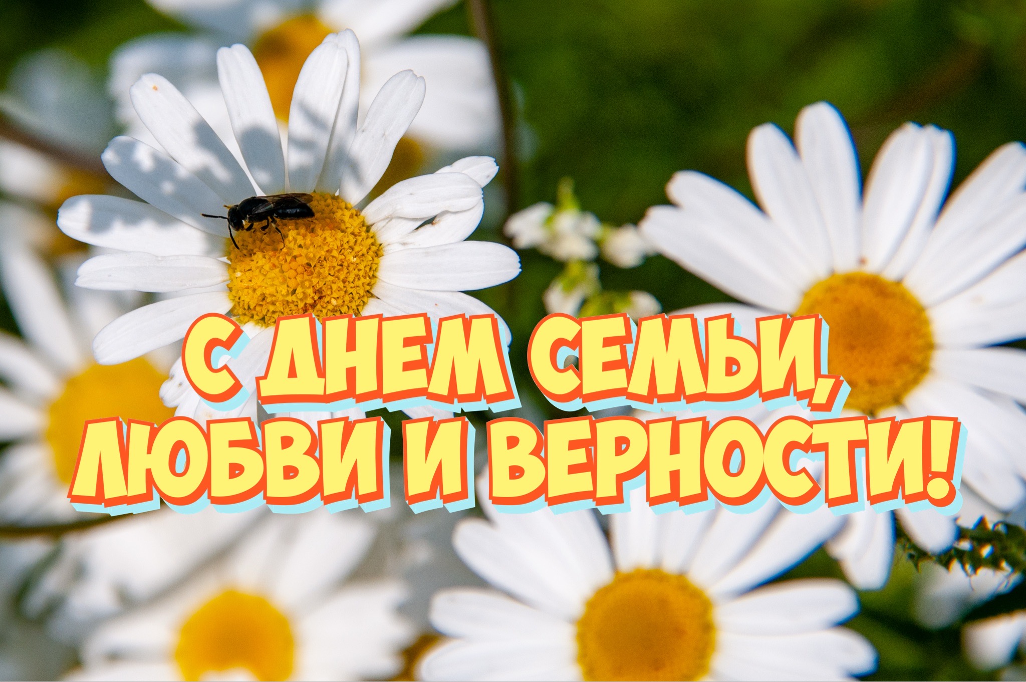 Открытка с Днем семьи, любви и верности