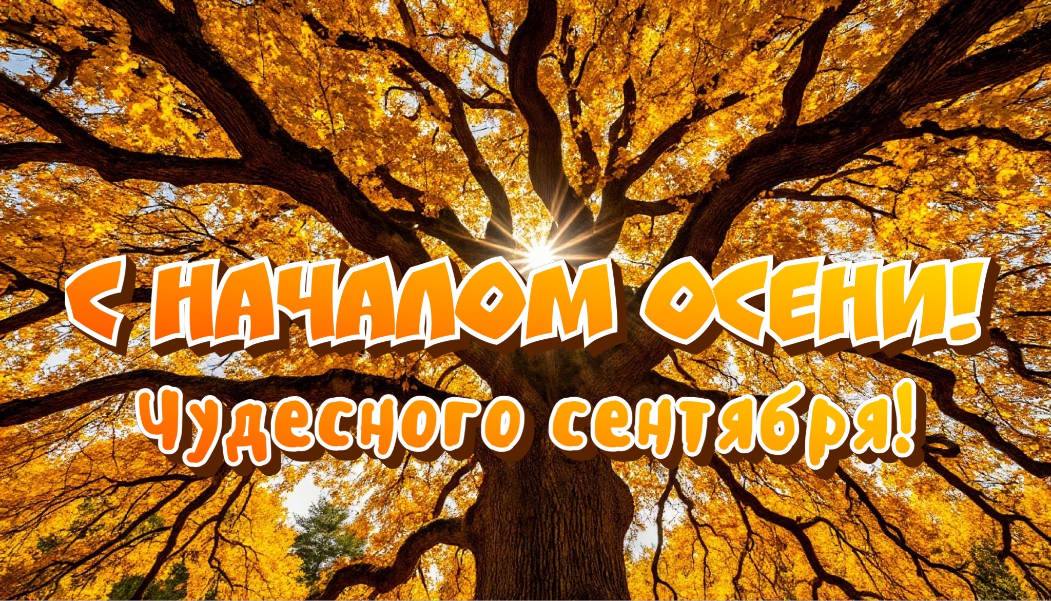 Открытка с первым днем осени