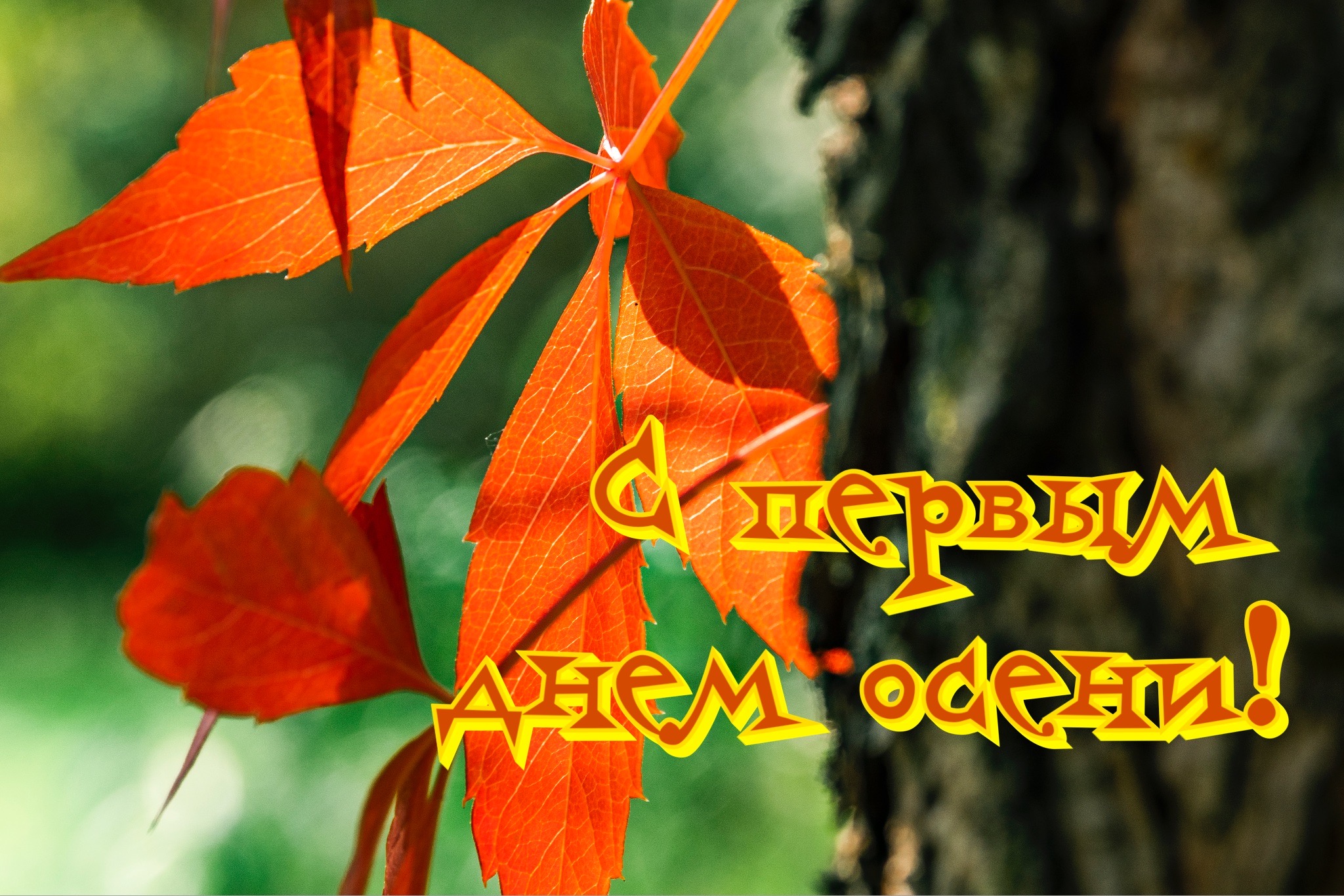 Открытка с первым днем осени