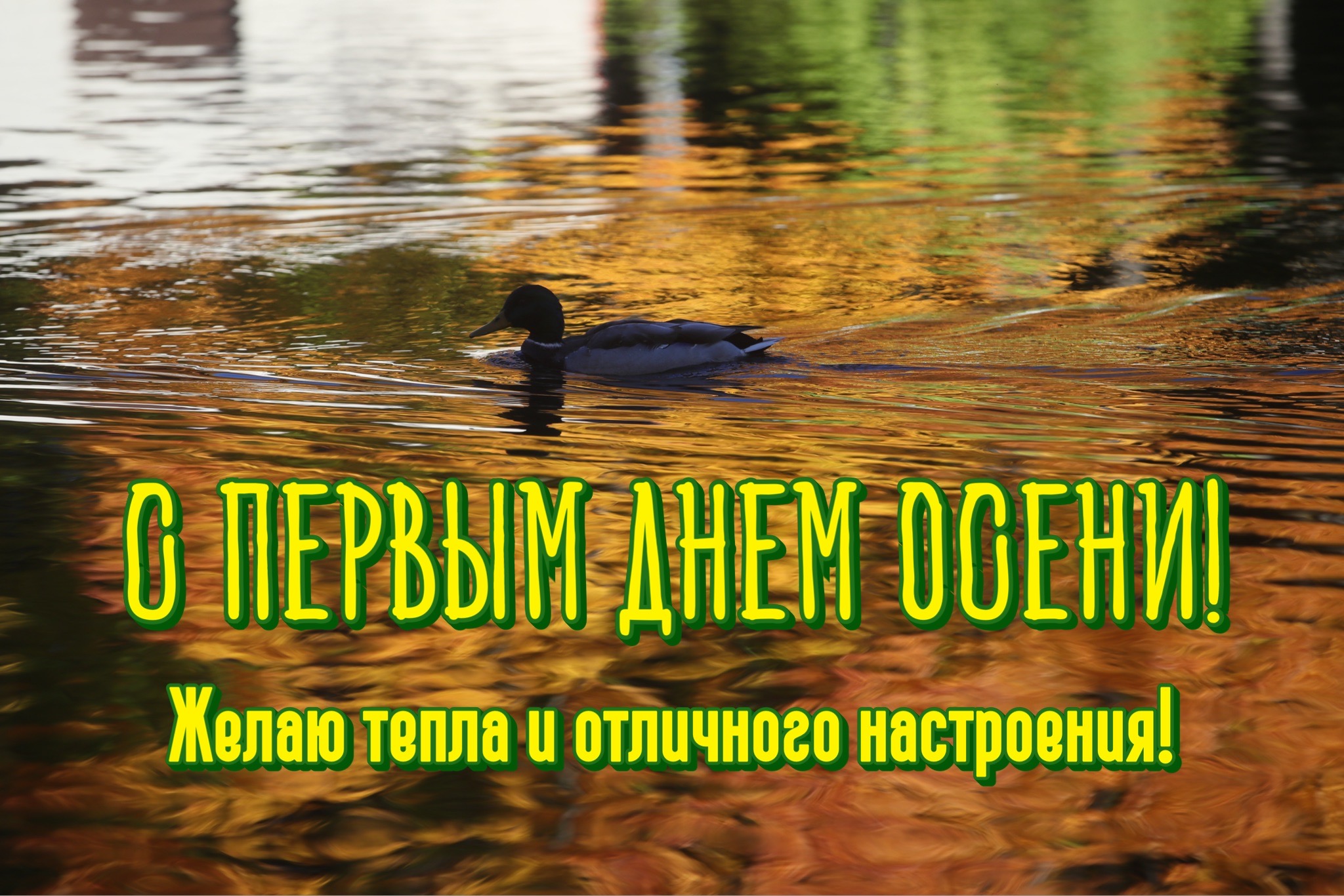 Открытка с первым днем осени