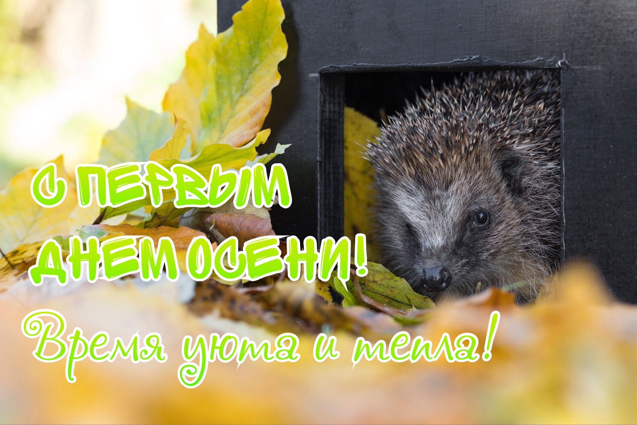 Открытка с первым днем осени