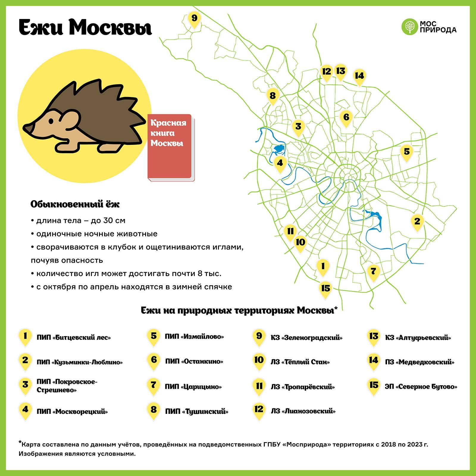 Эксперты создали карту мест обитания ежей в Москве и области | Новости  общества | Известия | 20.08.2023