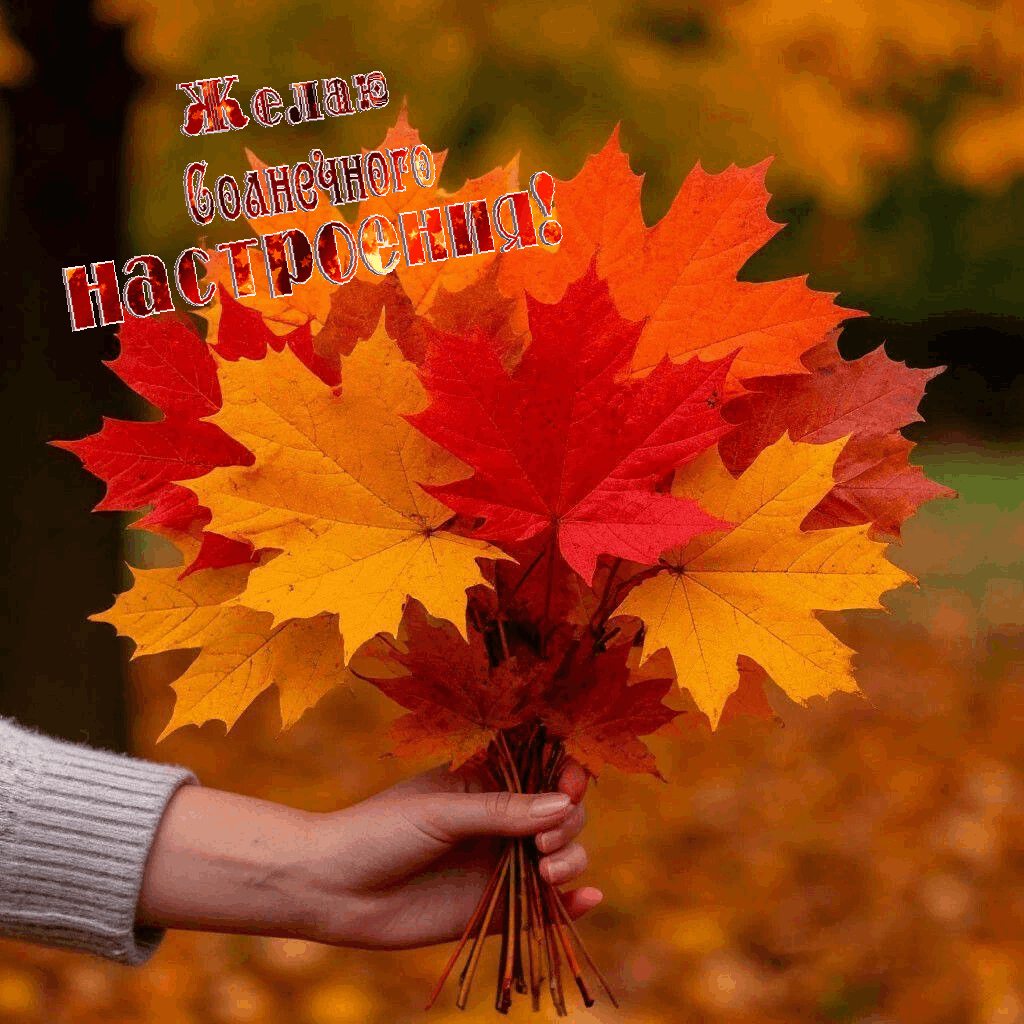 С Днем осеннего равноденствия