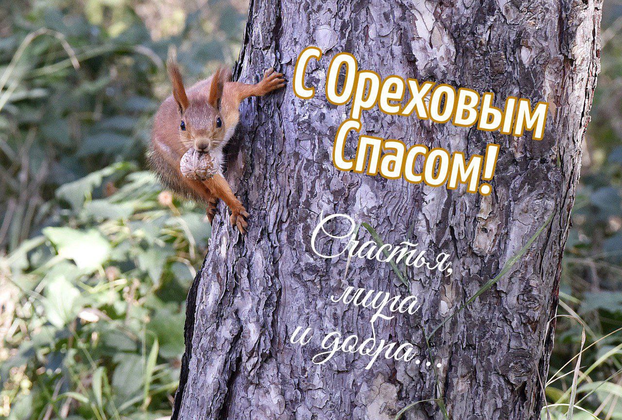 С Ореховым, Хлебным Спасом