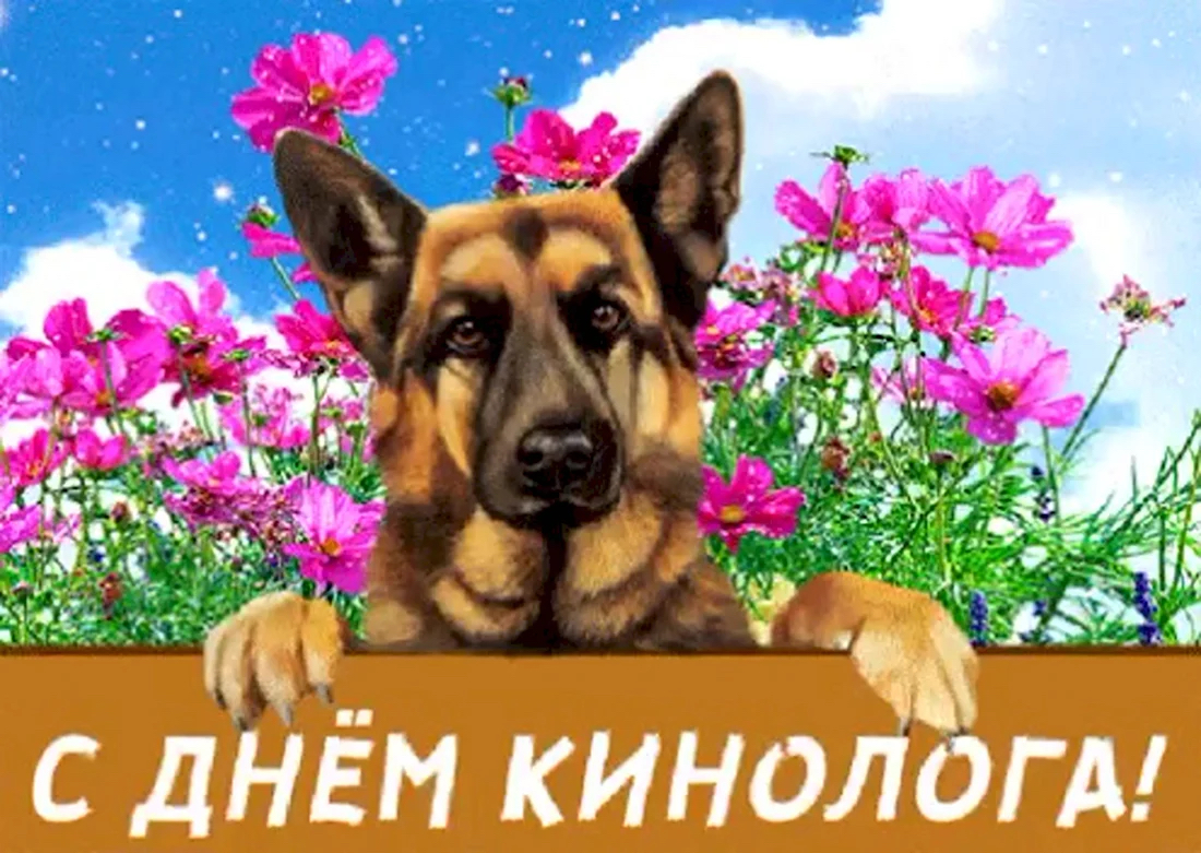 С Днем кинолога