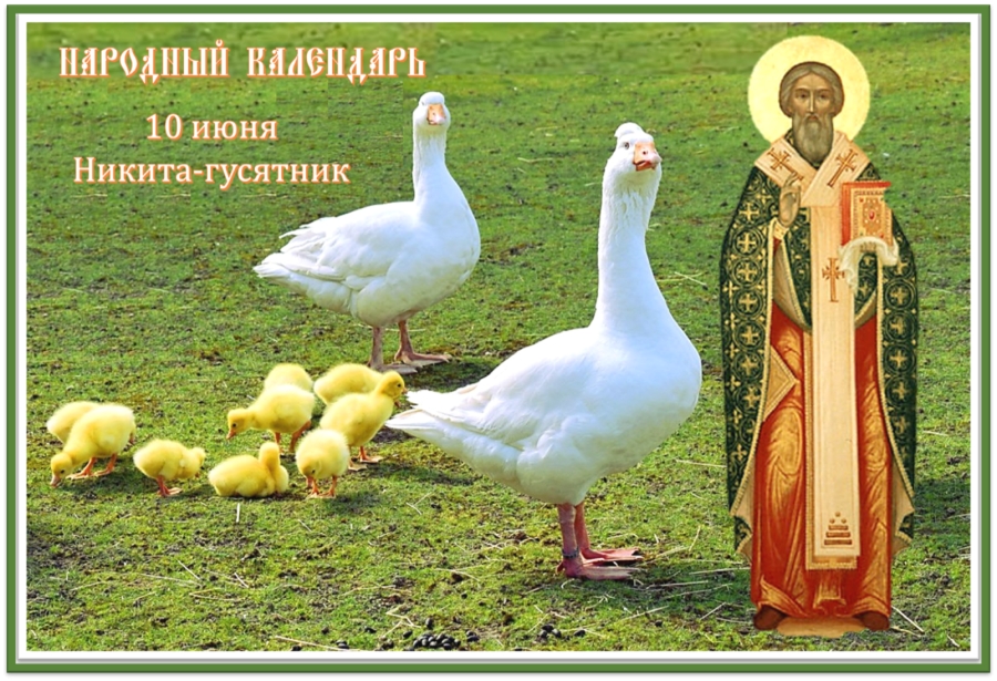 С Никитой Гусятником