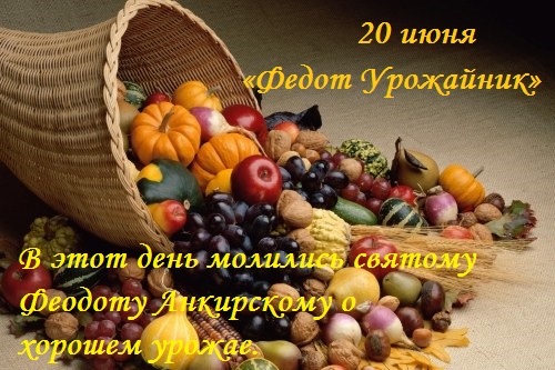 С Федотом Урожайником