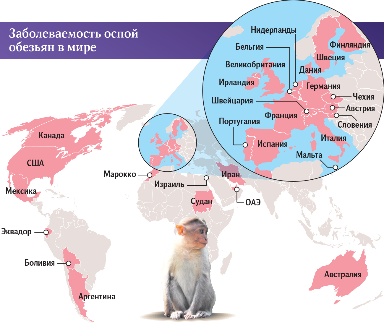 инфографика