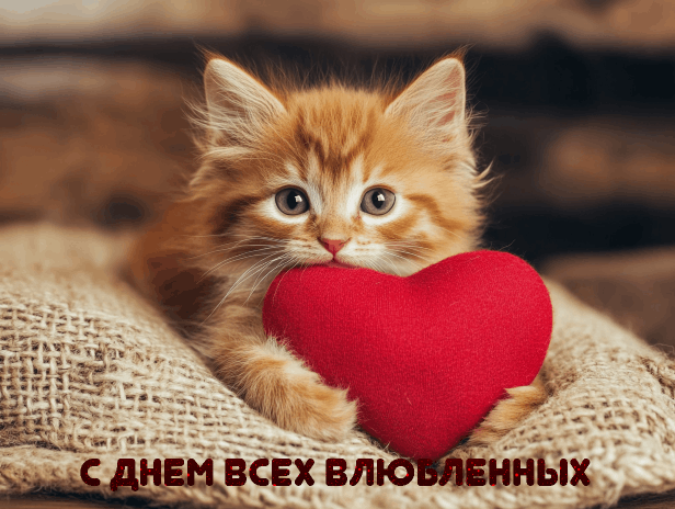 С Днем влюбленных, Днем святого Валентина