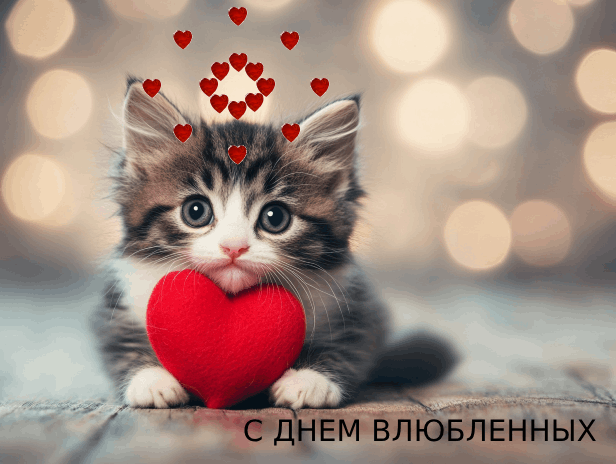 С Днем влюбленных, Днем святого Валентина