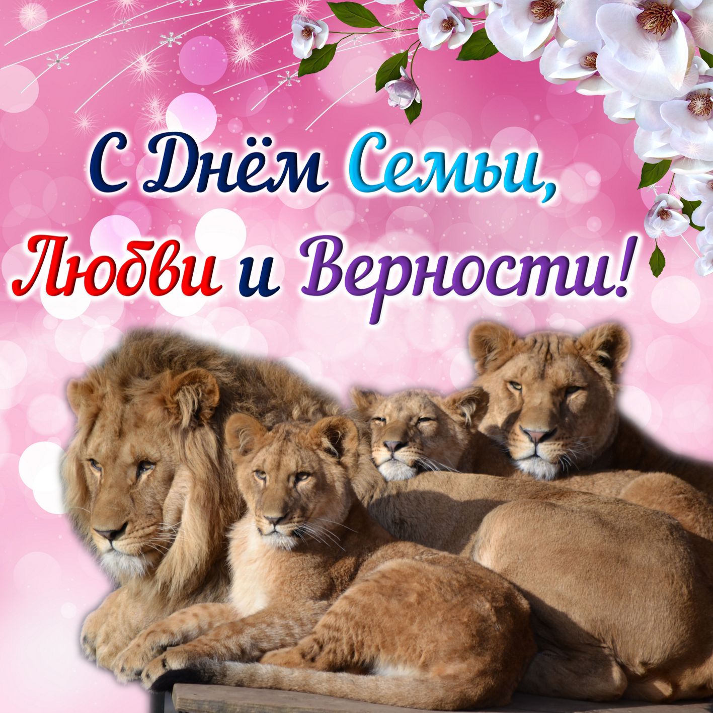 Открытка с Днем семьи, любви и верности