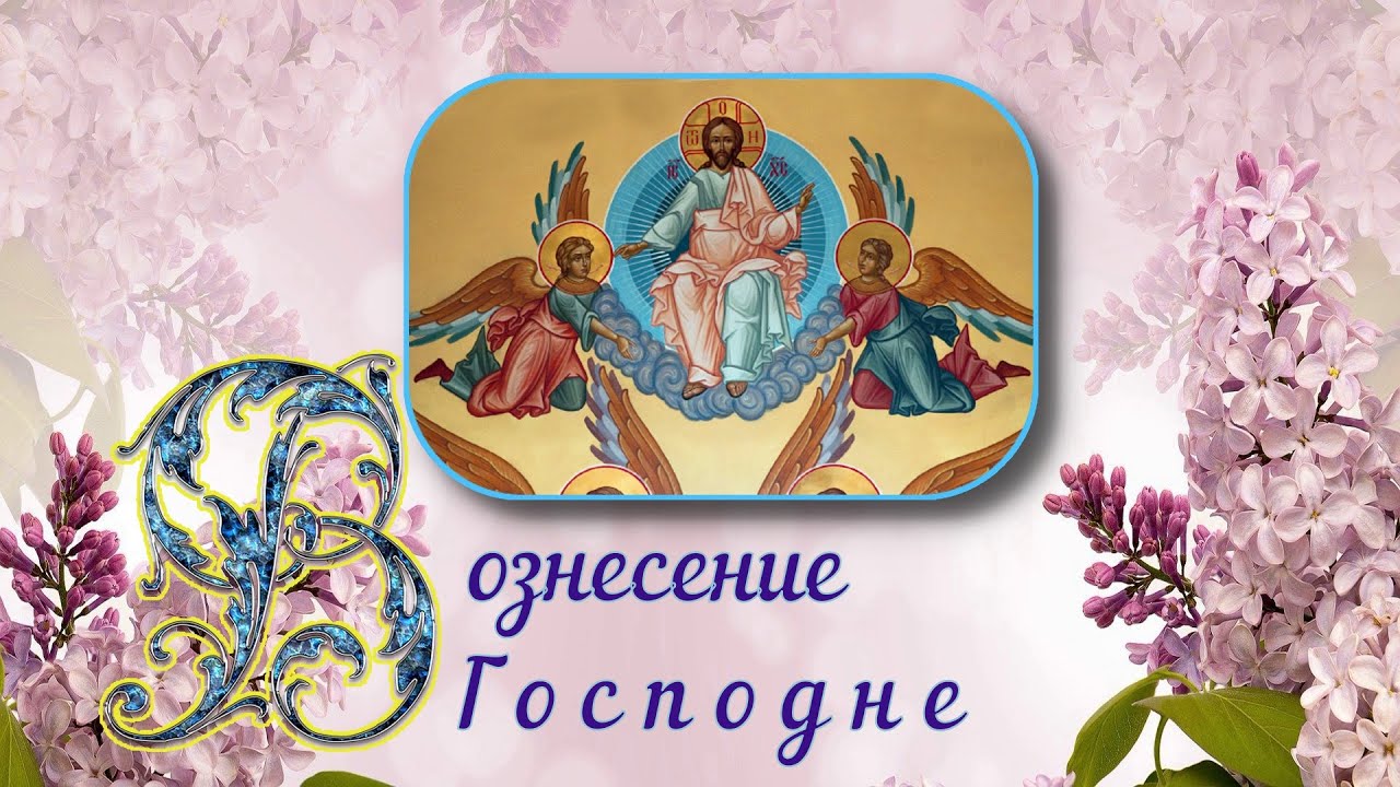 Изображение из открытых источников