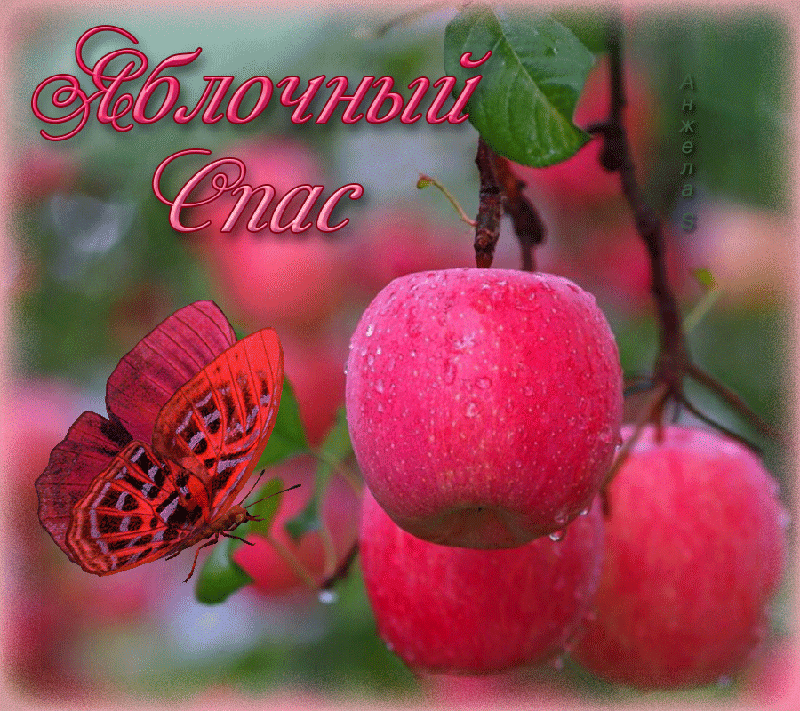 Гиф с Яблочным Спасом