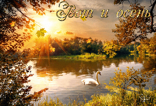 Гиф с первым днем осени