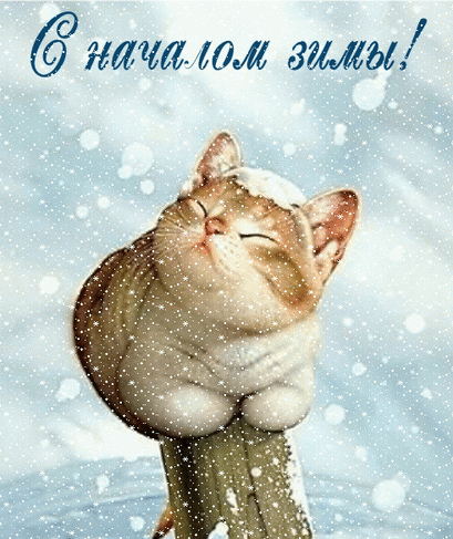С Первым днем зимы