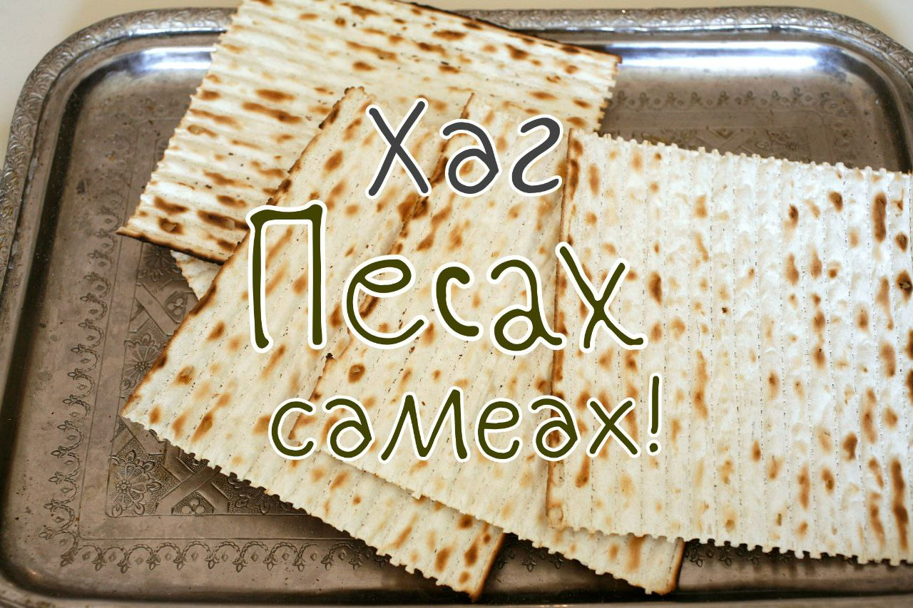 С Песахом, Еврейской Пасхой