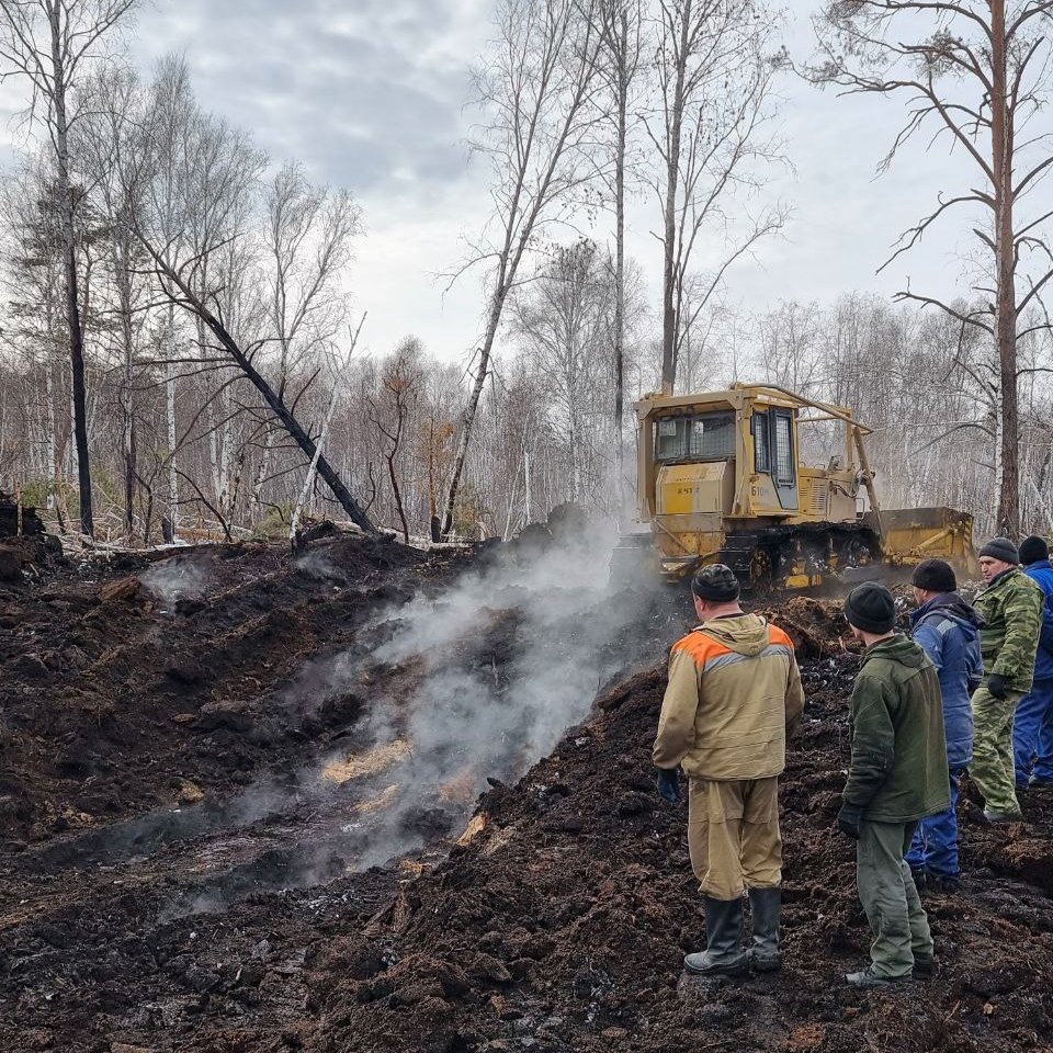 Горящий снег: ученые придумали способ победить «зомби-пожары» | Статьи |  Известия