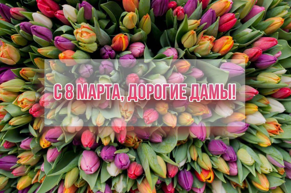 Подарок на 8 марта лучшей подруге - Советы что подарить ЛП | Блог Семицветика