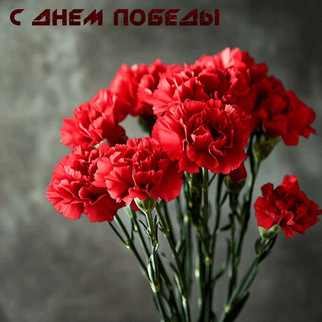 С Днем Победы