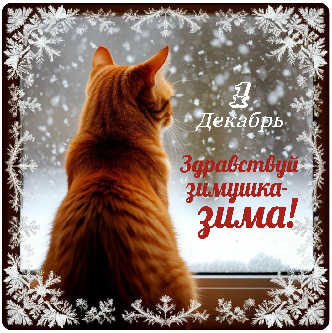 С Первым днем зимы