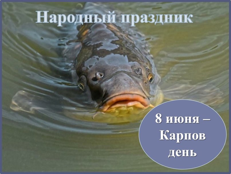 С Карпом Карполовом