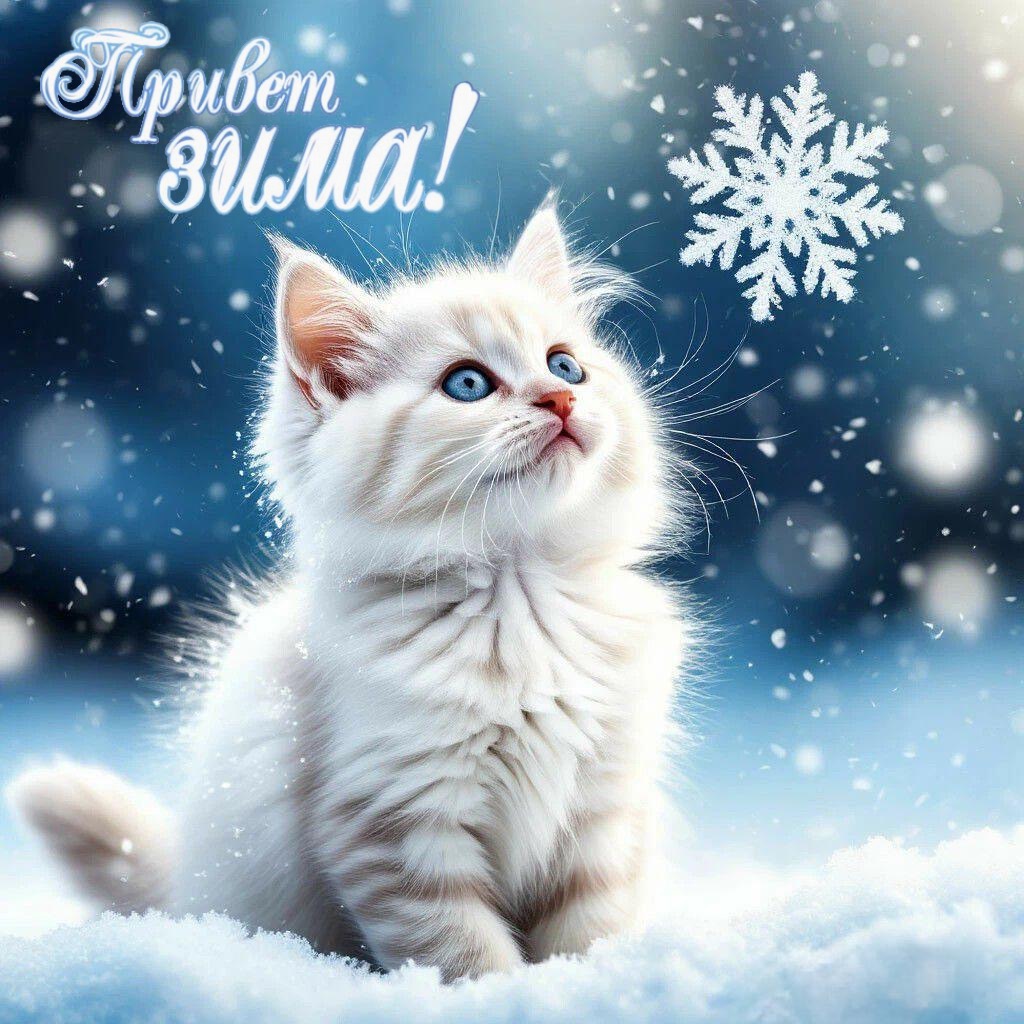 С Первым днем зимы